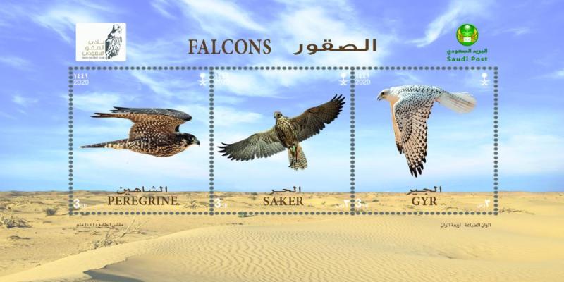 تراث سعودي أصيل.. البريد يصدر طابعا عن الصقور