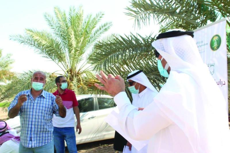 تدريب حقلي لدراسة إنتاج وفاقد التمور