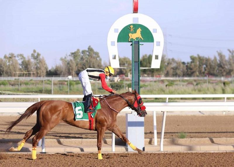 نادي الخيل يقيم حفل سباقه الخامس بالطائف