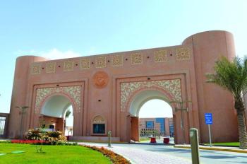 دراسة المقررات النظرية «عن بعد».. والعملية حضوريا بجامعة الملك فيصل