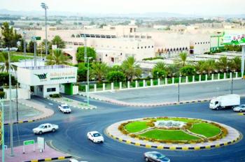 4 شروط لـ«التجسير» بجامعة بيشة