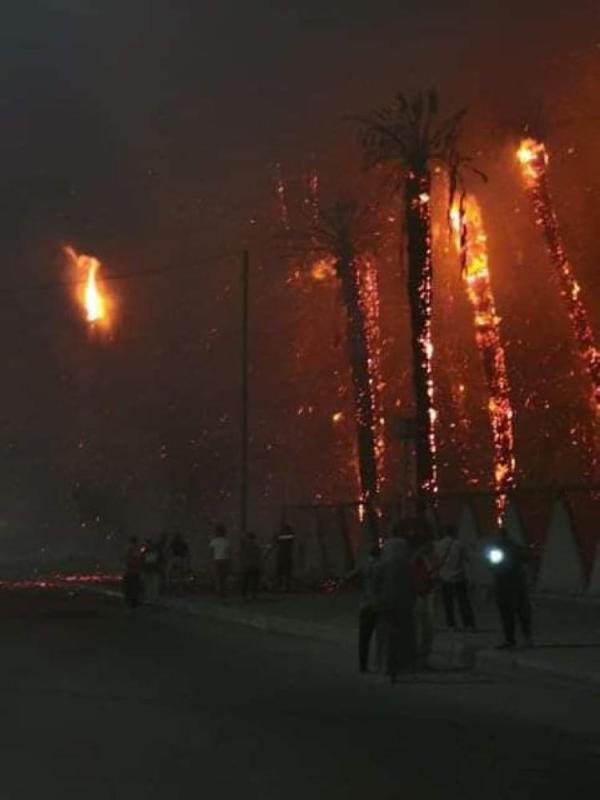 صور.. حريق هائل أمام حديقة بالقاهرة