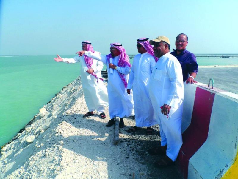 طريق صفوى - رأس تنورة «معلق»