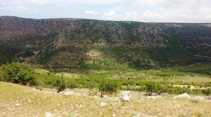 طيران الاحتلال ينفذ غاراتٍ وهميةً جنوب لبنان