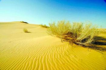 صحراء النفود.. دلائل على هجرات للجزيرة العربية قبل 120 ألف عام