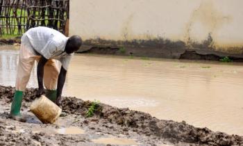 ارتفاع ضحايا فيضانات السودان إلى 128 وفاة