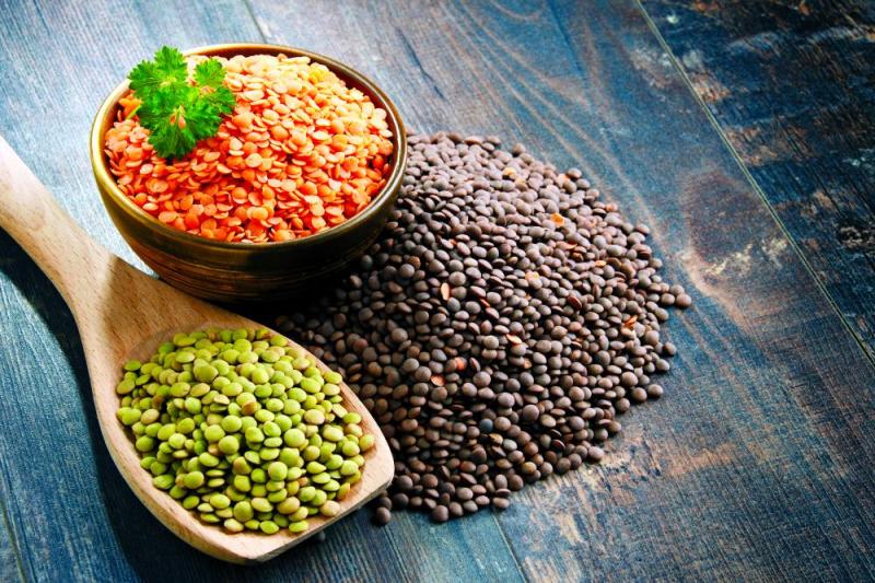 العدس مضاد السرطان وأمراض القلب