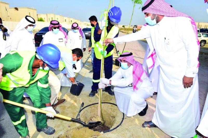 زراعة 8800 م2 مسطحات خضراء بالجبيل الصناعية
