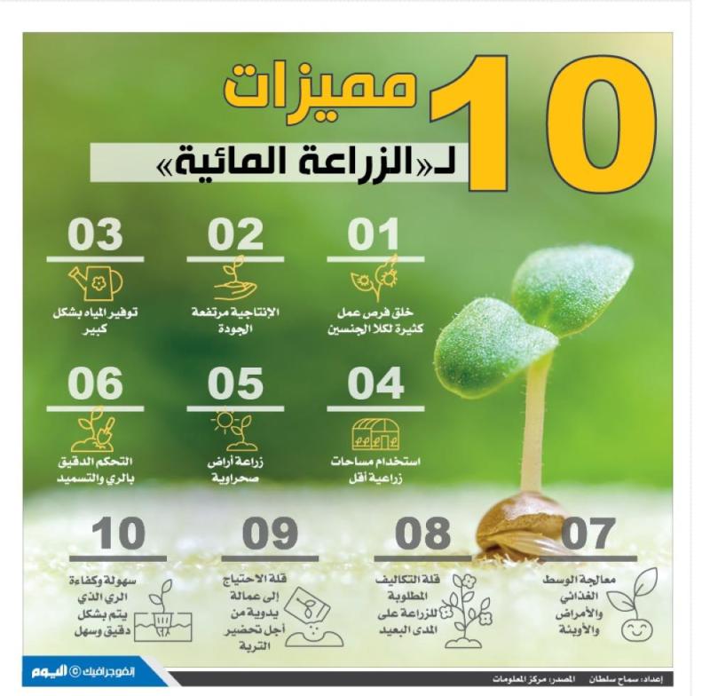 10 مميزات لـ«الزراعة المائية»