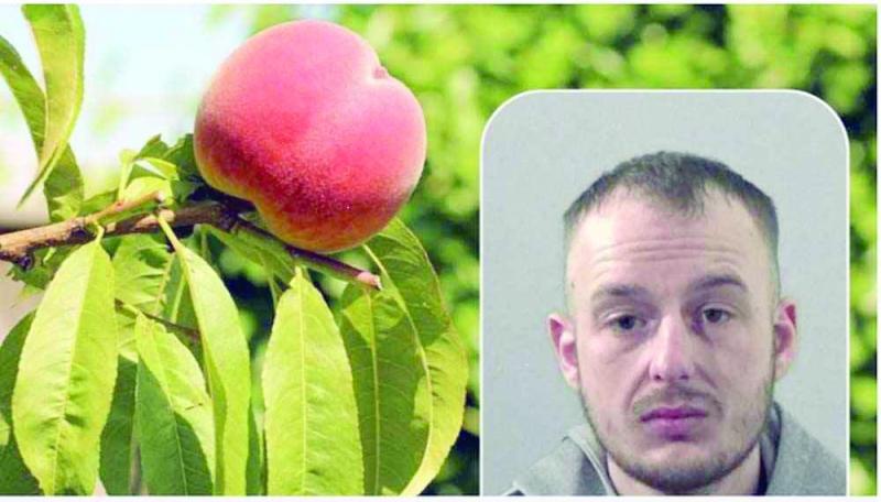 «قضمة خوخ» تقود للسجن