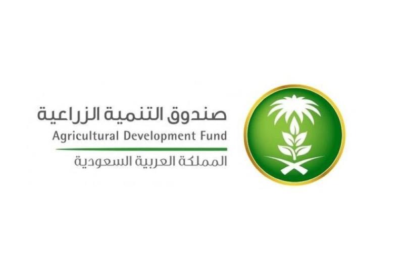تمويل زراعة البن وزيادة دخل صغار المنتجين