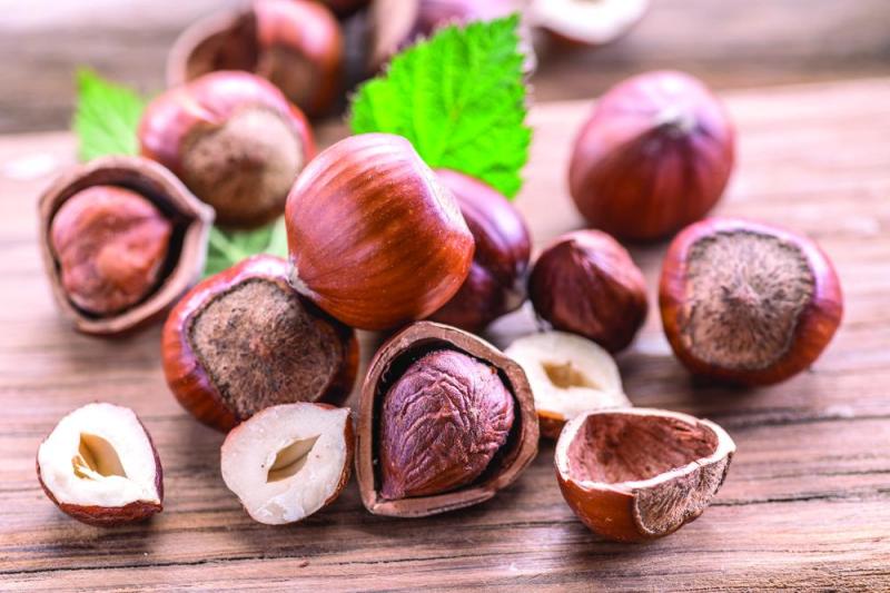 البندق «منظم» السعرات الحرارية