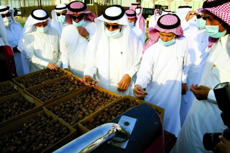 مواقع متميزة للمزارعين في «تجزئة التمور» بالأحساء