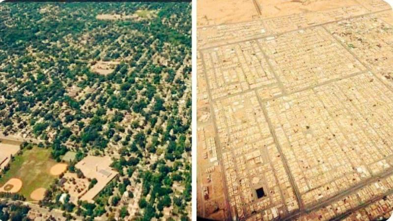 شارك ولو بشجرة «لنجعلها خضراء»