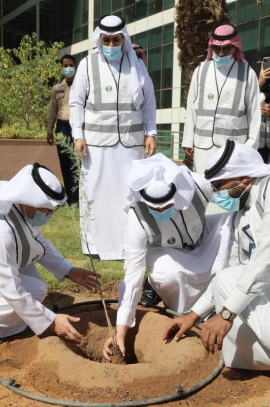 «لنجعلها خضراء».. حملة لزراعة 10 ملايين شجرة 