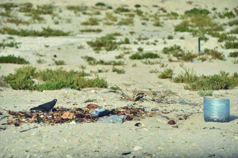 بقايا الطعام.. «ظاهرة مزعجة» تؤرق أحياء الشرقية