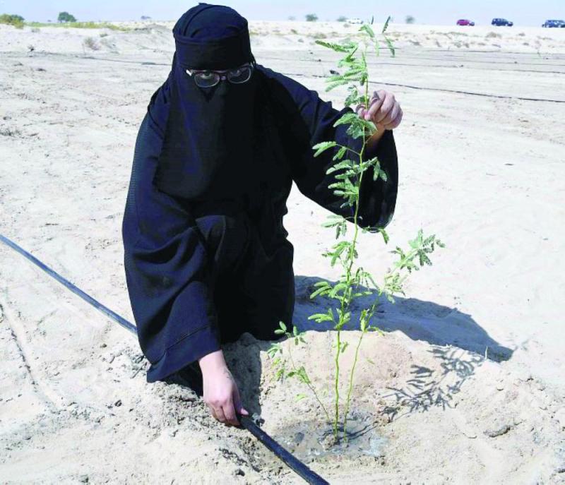 «لنجعلها خضراء»..
وعي بيئي في الجامعات