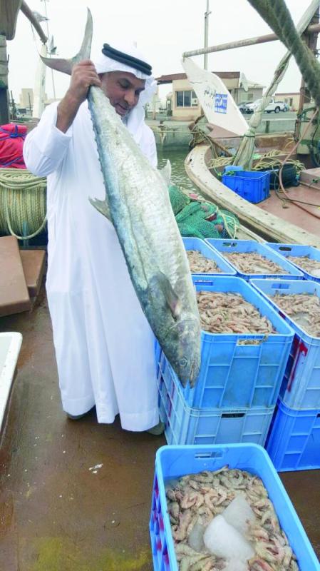 «حظر الشهرين» يزيد إنتاج «الكنعد» 65 % بالأسواق