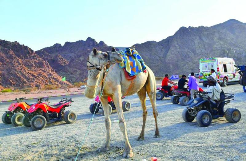 «البيضاء».. وجهة محبي الطبيعة في طيبة