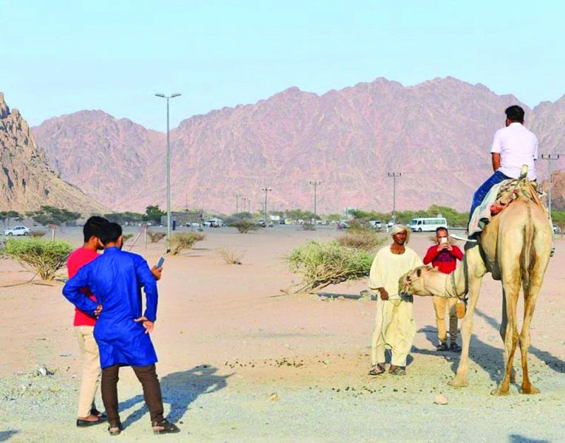 «البيضاء».. وجهة محبي الطبيعة في طيبة