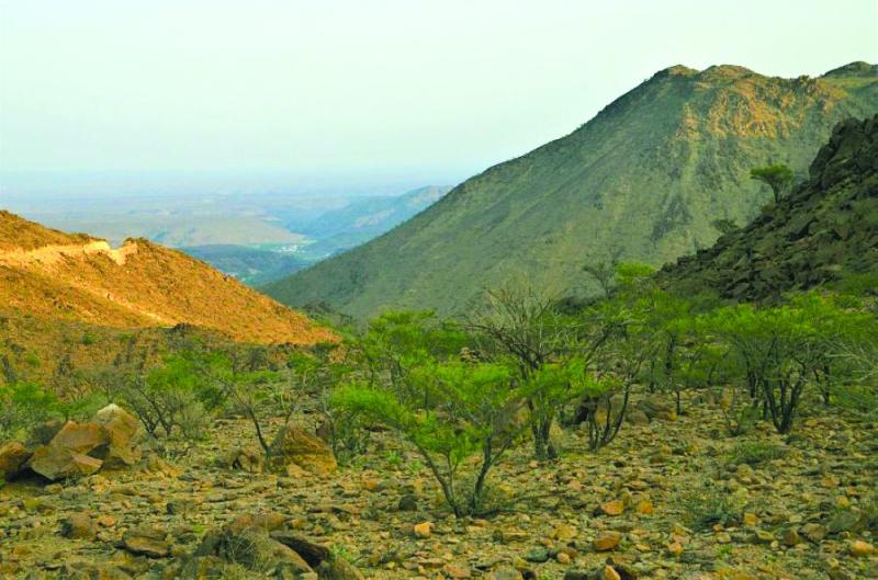 «شمنصير».. شاهد على تطور الحياة بـ«الكامل»