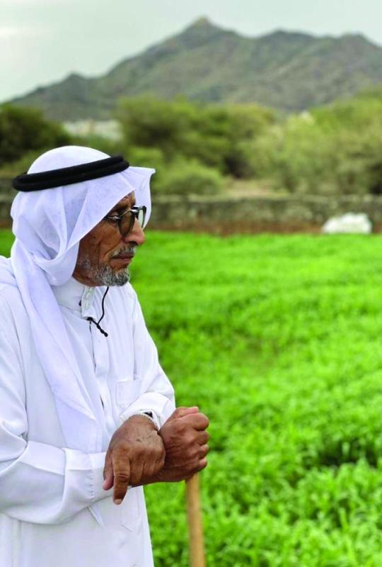 القوات المسلحة.. قدرات نوعية تردع المعتدين