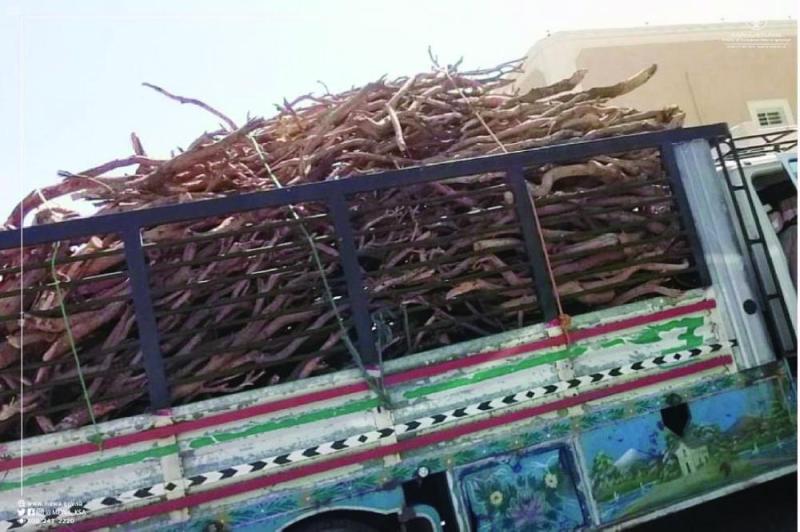 مصادرة 39 طن أخشاب برية وإزالة 56 مصنع فحم