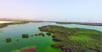 طرق لمكافحة الحشرات بسبخة الفصل
3