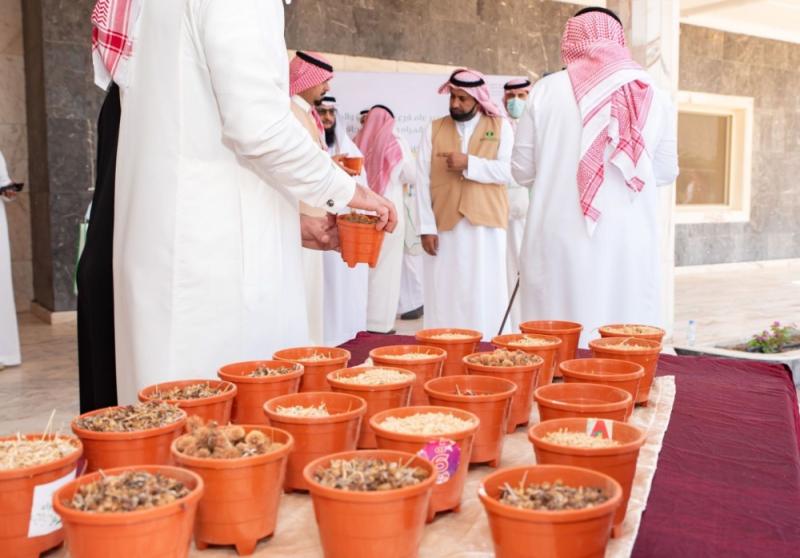 300 كيلو بذور أشجار تكافح التصحر بالجبيل