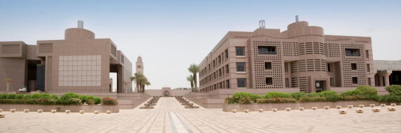 تدريس «الصينية» بجامعة الملك عبدالعزيز