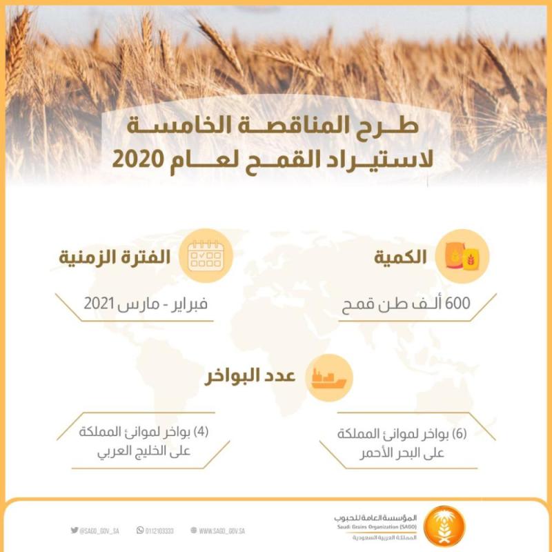 طرح مناقصة لاستيراد 600 ألف طن قمح