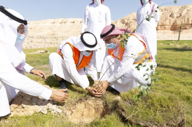الأحساء.. محافظة «المليون شجرة»