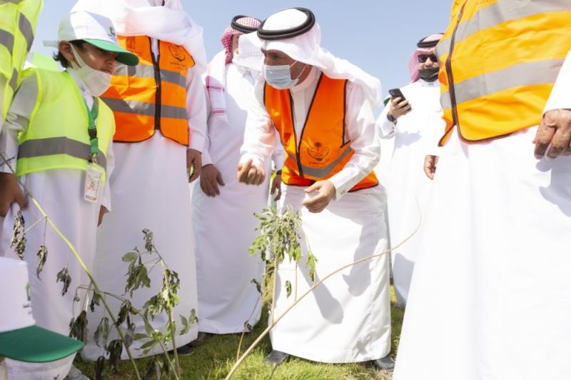 الأحساء.. محافظة «المليون شجرة»