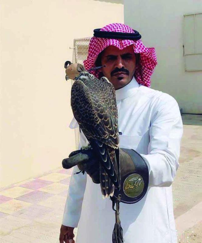 حفر الباطن مقصد هواة الصقور محليا وخليجيا