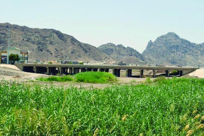 «وادي قناة».. معلم من عصر النبوة