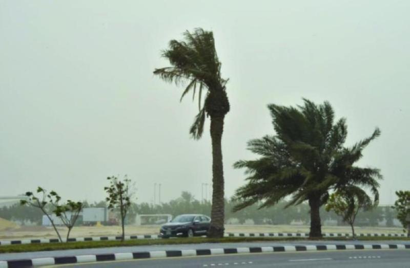 الأرصاد: استمرار الرياح على حفر الباطن حتى الواحدة صباحا 