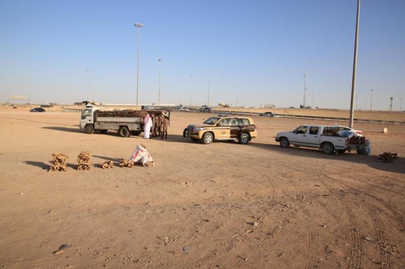 ضبط 10 مخالفين بحوزتهم 22,8 طن «حطب محلي»
