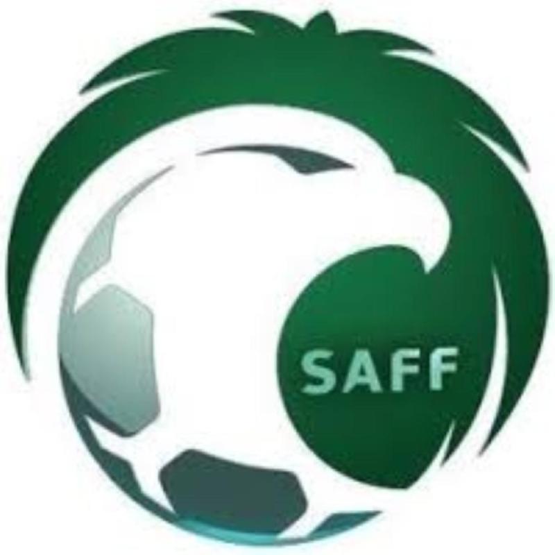 «الانضباط» تغرم «الفيحاء» ولاعب «الفتح» 