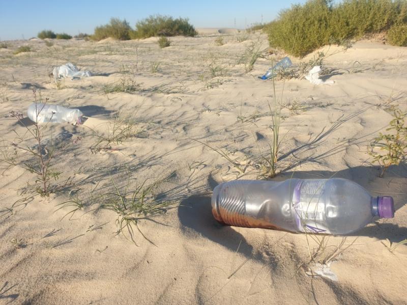 البيئة الصحراوية .. «تئن» من التخريب والعشوائية