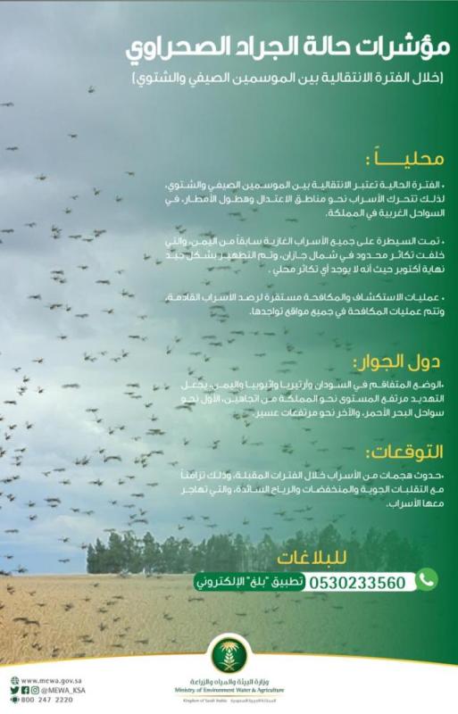 عاجل.. 'البيئة' ترفع مستوى التهديد من أسراب الجراد الصحراوي