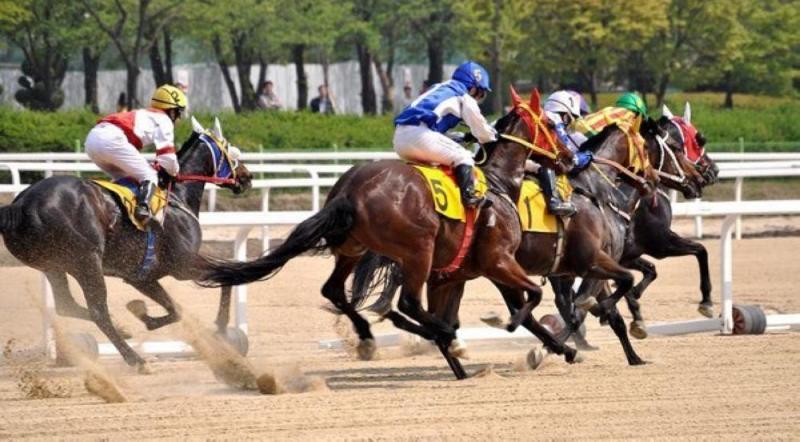 فوز أول مهرة لمالكة سعودية بسباقات الخيل
