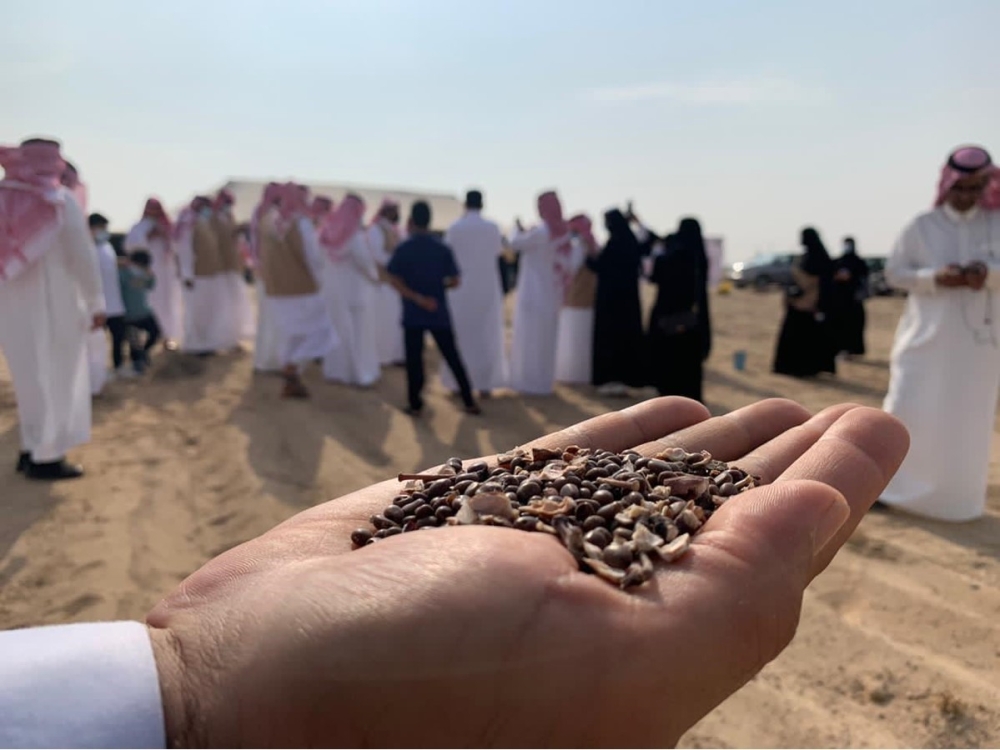 زراعة 1200 شجرة بقرية العليا