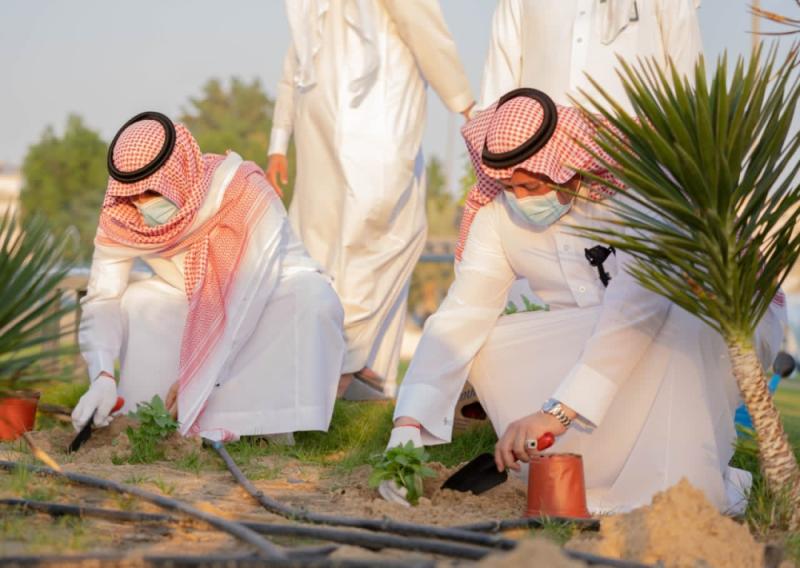145 متفاعلا مع مبادرة «ريحان» في 5 أحياء