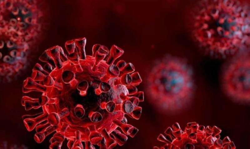 الصين.. 15 إصابة جديدة بفيروس كورونا
