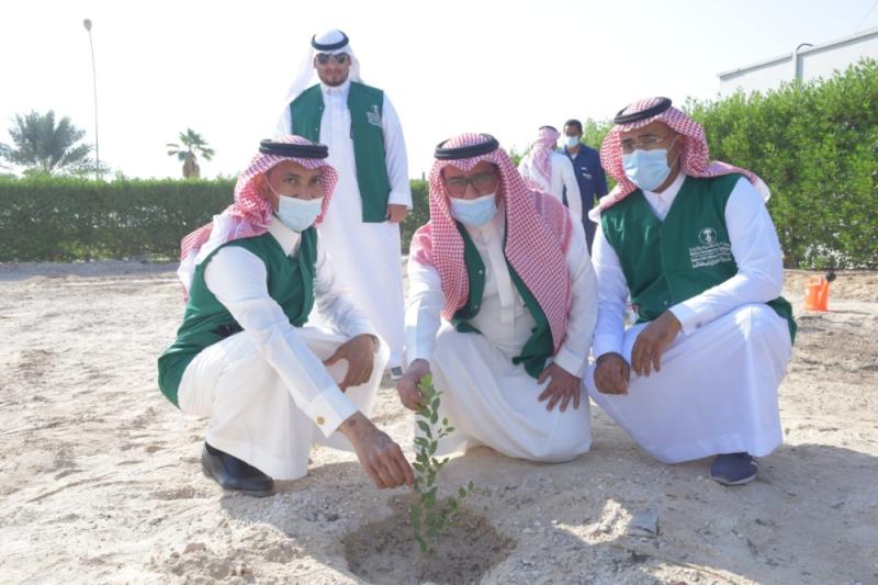 «لنجعلها خضراء».. 7500 شتلة لتشجير المطار