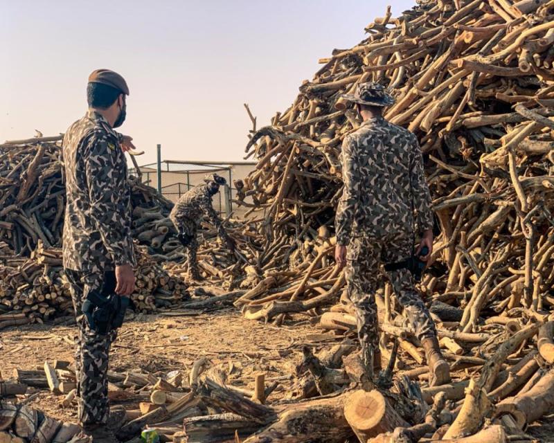الشرقية.. ضبط 3  شاحنات محملة بالحطب المحلي 
