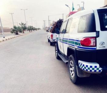 ضبط 7 شاحنات محملة بالحطب المحلي بالمخالفة لنظام المراعي