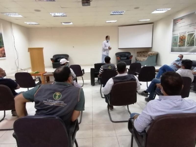 رفع كفاءة علاج آفة سوسة النخيل
