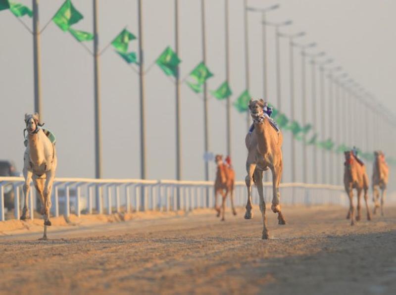 بدعم ولي العهد ..