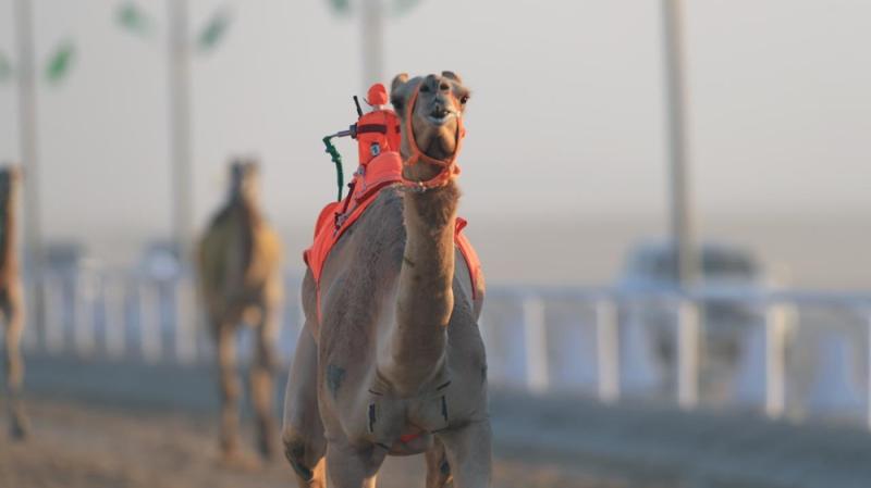 بدعم ولي العهد ..